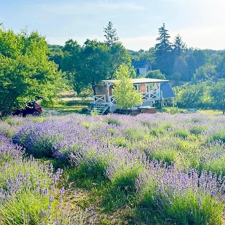 Holiday home Bohemian Eco Retreat *