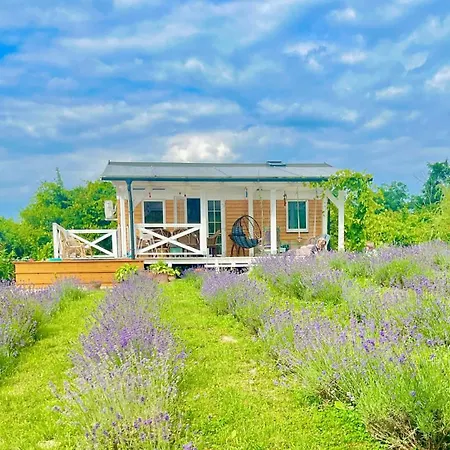 Holiday home Bohemian Eco Retreat *